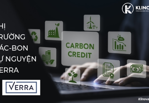 Verra và Thị Trường Các-bon Tự Nguyện: Chuẩn mực toàn cầu và bài học cho Việt Nam